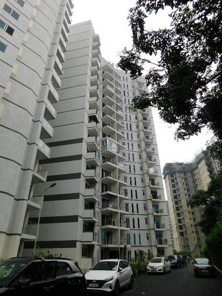 WhatsApp Image 2025-12-18 at 4.31.14 PM (2)